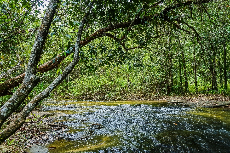 Beauty freshness inside scenic