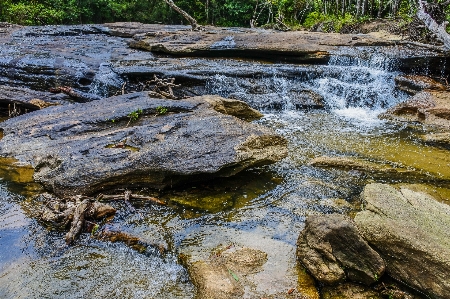 Beauty freshness inside scenic Photo