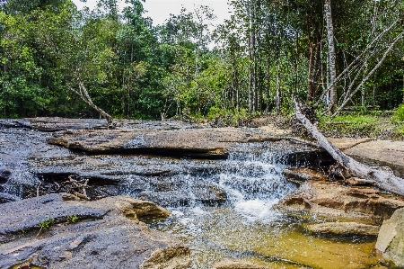 Beauty freshness inside scenic Photo