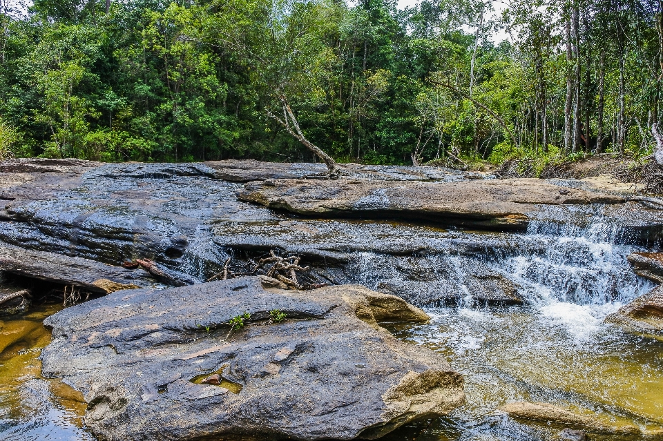 Beauty freshness inside scenic