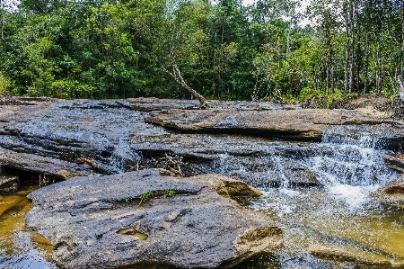 Beauty freshness inside scenic Photo