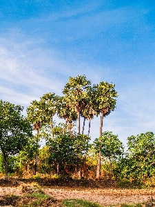 Background beautiful beauty cambodia Photo