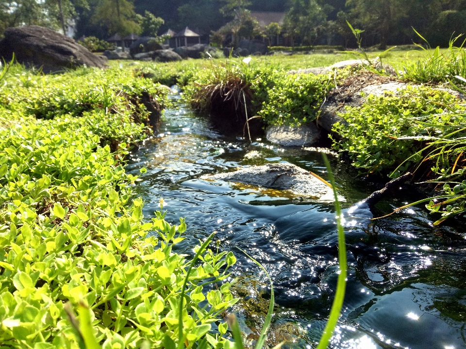 Doğa park su kaynakları
 kütlesi
