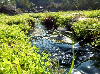 自然 公園 水資源
 水域
 写真