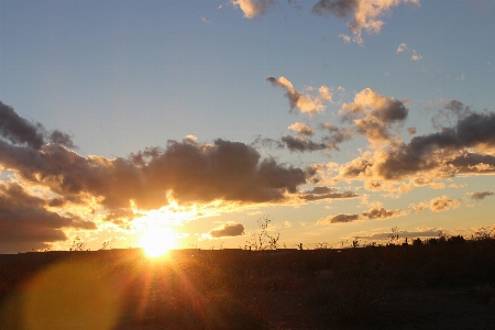 Desert yermo california mato Photo