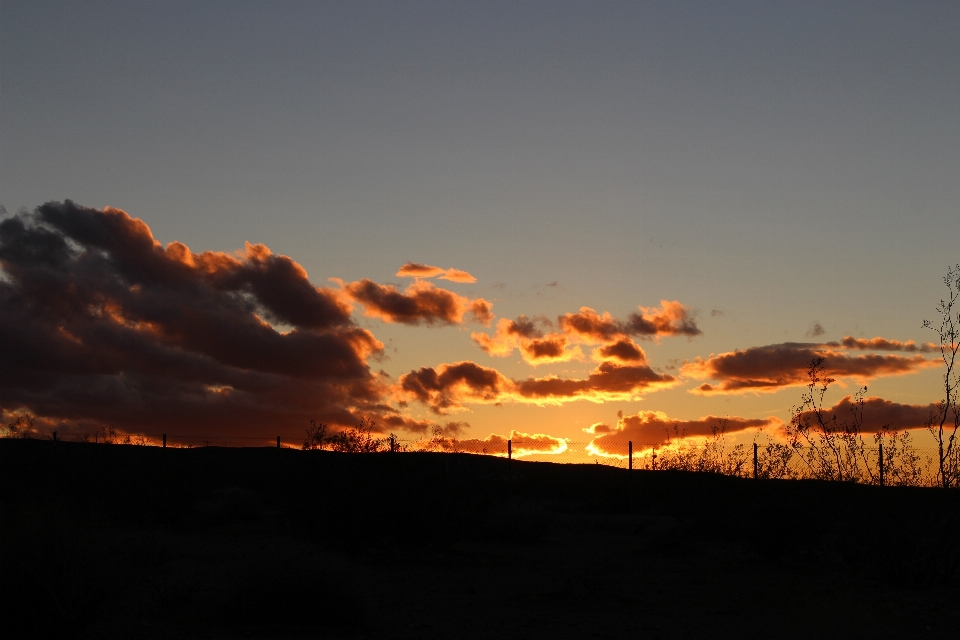 Yermo california desert night