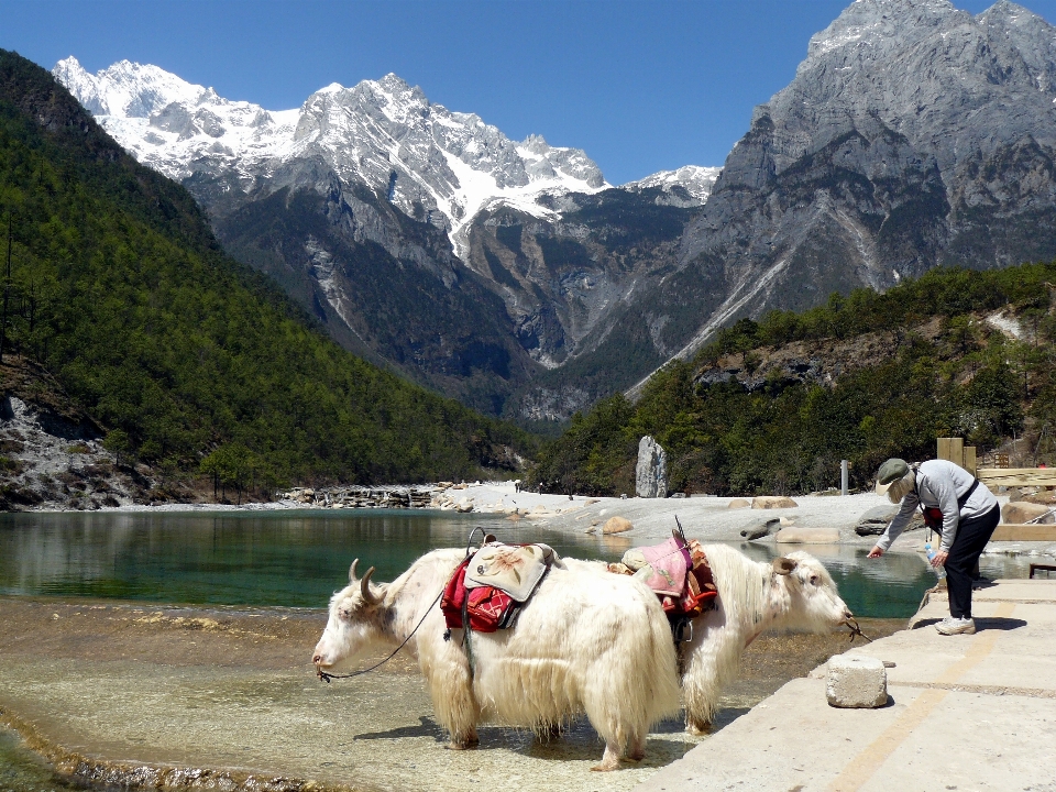 Gunung giok
 cina ya
 bentang alam pegunungan
