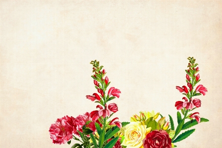 Flower floral background border Photo