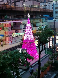 Foto Cidade árvore de natal rosa