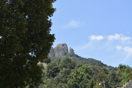 Nature vegetation natural landscape reserve Photo