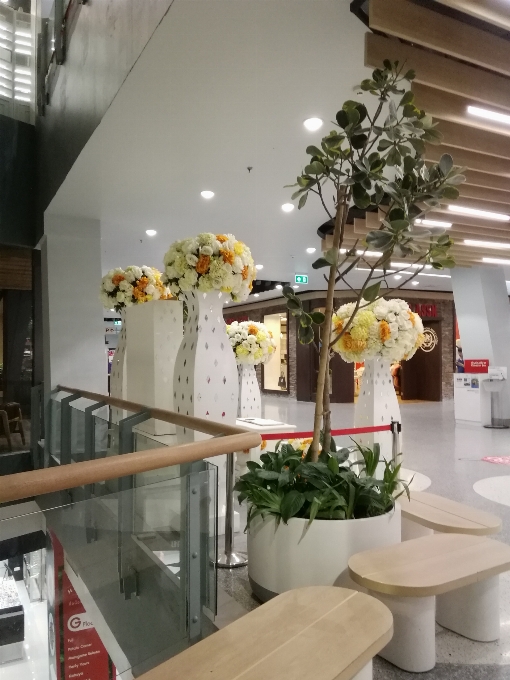 Flowers floristry interior design building