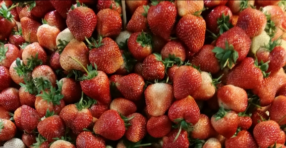 Foto Fragola alimenti naturali
 fragole cibo