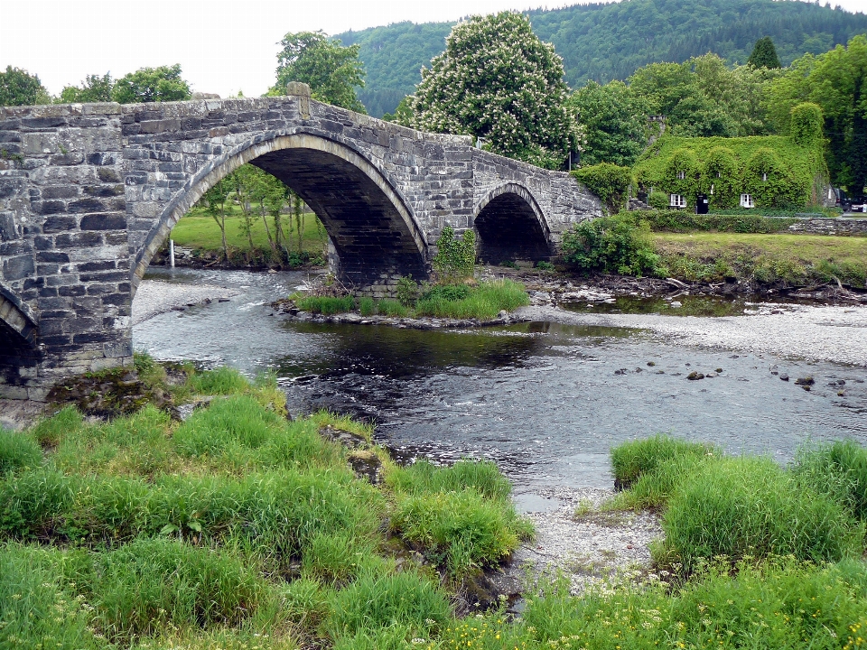 Bridge arch humpback water