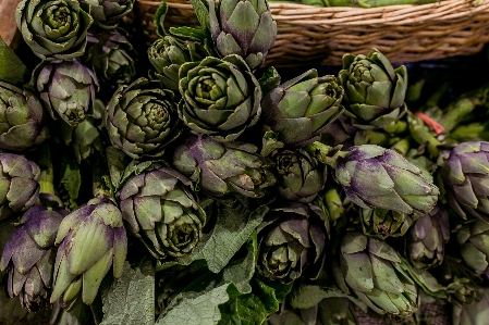 植物 緑 自然 食べ物 写真