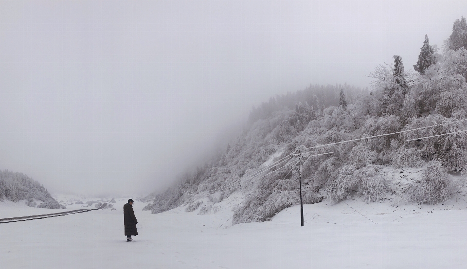 Nevicare inverno bianco fenomeno atmosferico
