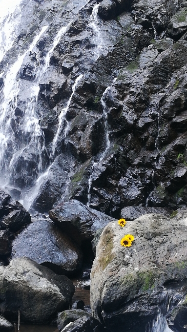 Jatuh bebatuan sungai rock