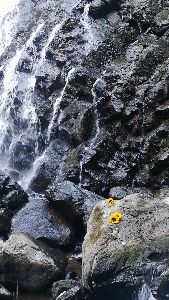 Fall rocks river rock Photo