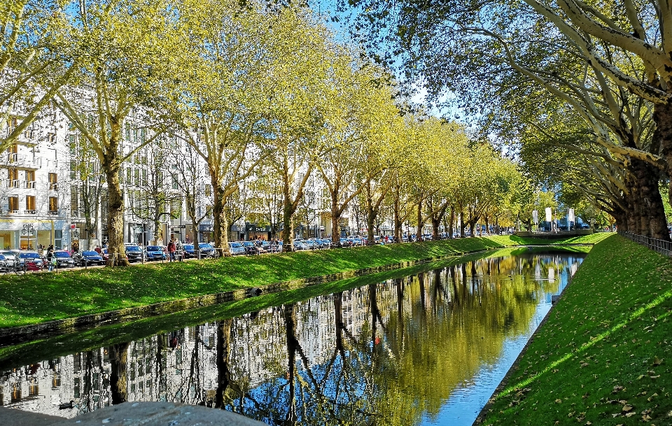 Verde árbol cuerpo de agua
 canal
