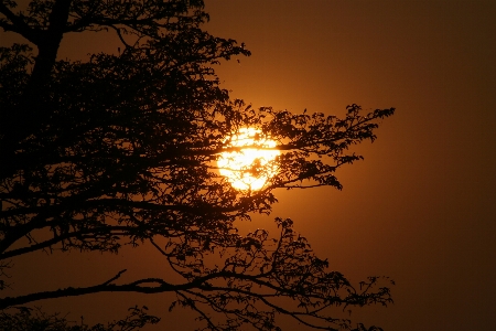 Cloud sky sun sunrise Photo