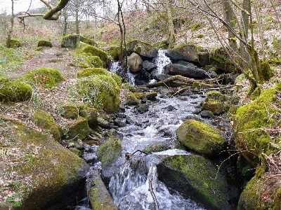 Stream cascade body of water resources Photo