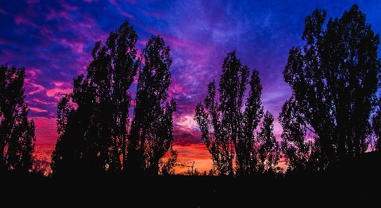 Evening sky blue purple Photo