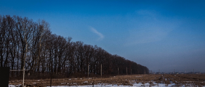 Air sky wood forest Photo