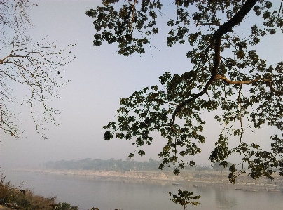 Nature tree atmospheric phenomenon water Photo