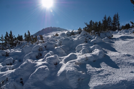 Snow sun flare cold Photo