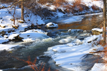 Foto Natureza neve inverno stream