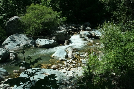 自然 水域
 水資源
 自然の風景
 写真