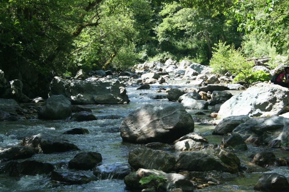 Nature plan d'eau
 ressources en eau
 stream