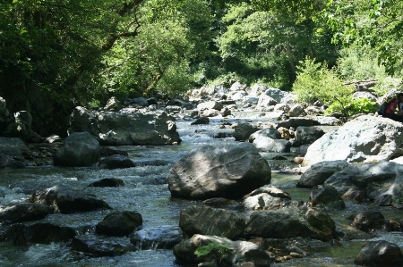 自然 水域
 水資源
 stream 写真