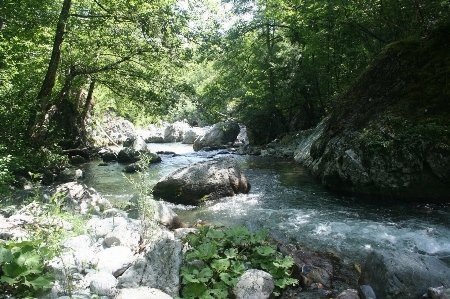 Nature water resources body of stream Photo