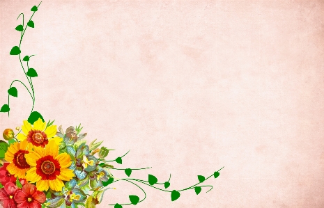 Flower floral background border Photo