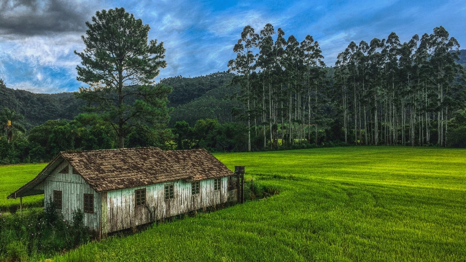 House countryside farm green