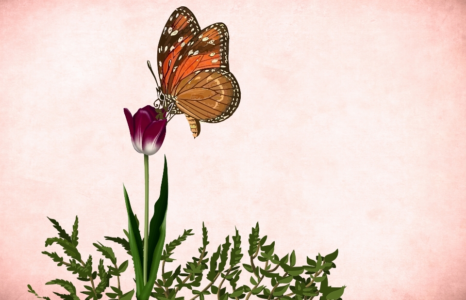 Flower floral background butterfly