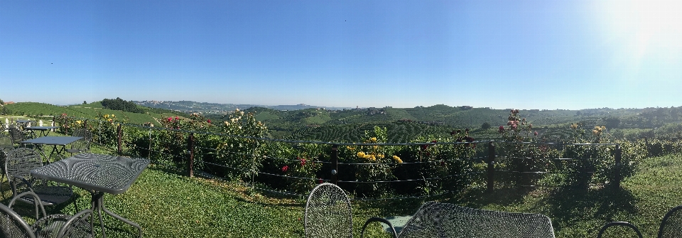 自然 山地地貌 植被 爬坡道