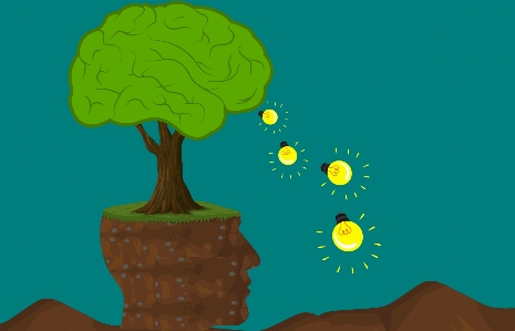 Brain tree idea education Photo