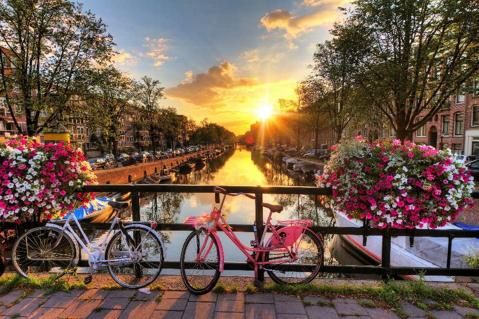 Natura cielo corso d'acqua
 bicicletta