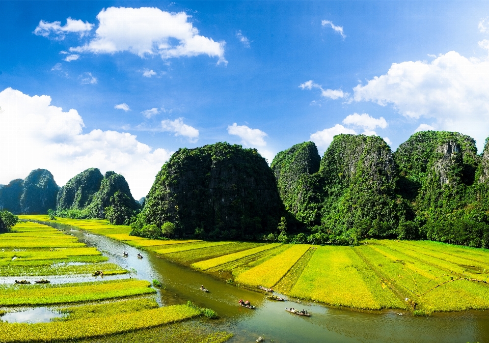 Nature natural landscape green sky