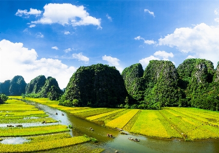 Foto Natura paesaggio naturale
 verde cielo