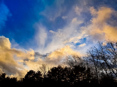 Foto Atardecer nubes árboles paisaje