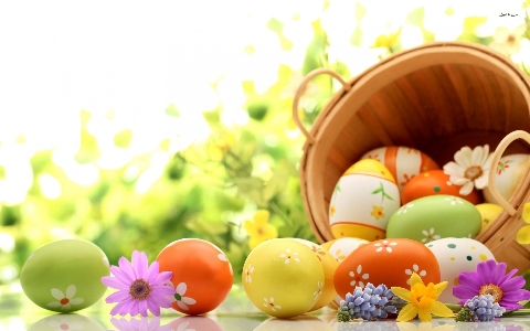 Easter egg food spring Photo