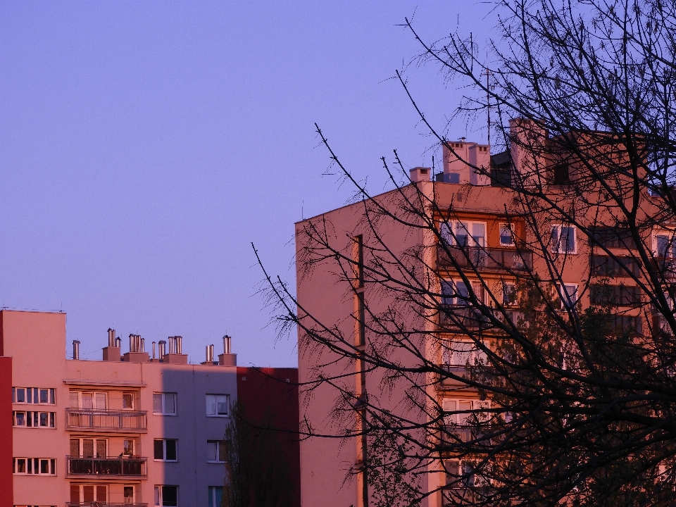 закат вид дом дерево