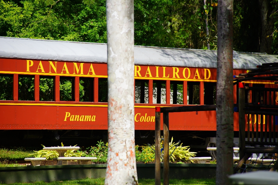 Viejo ferrocarril vagón panamá