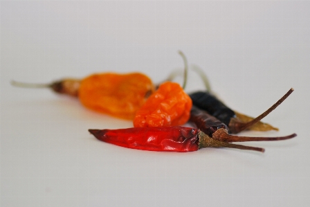 Red chilli food vegetable Photo