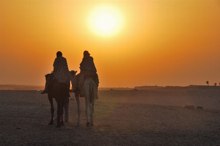 Tourism africa sun camel Photo