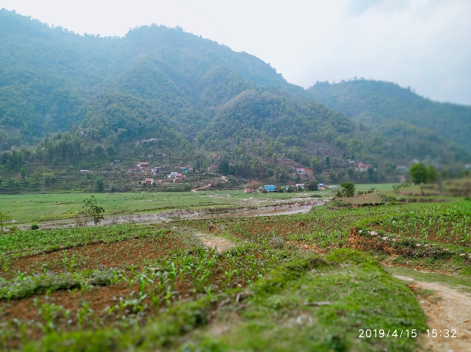 Nepalese village greenery view