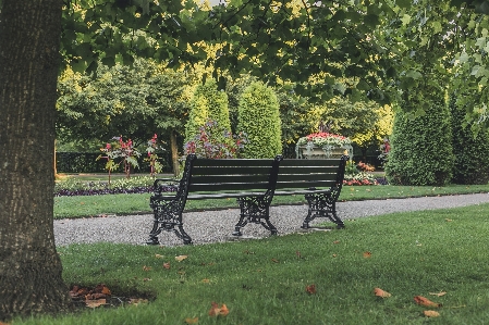 Bench park rest resting Photo