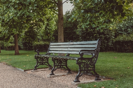 Bench park rest resting Photo